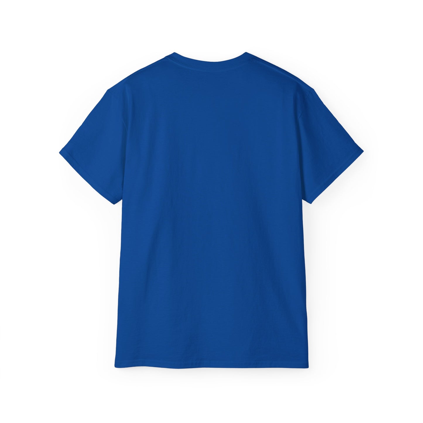 Christian T-Shirt- God Promises Never Fail