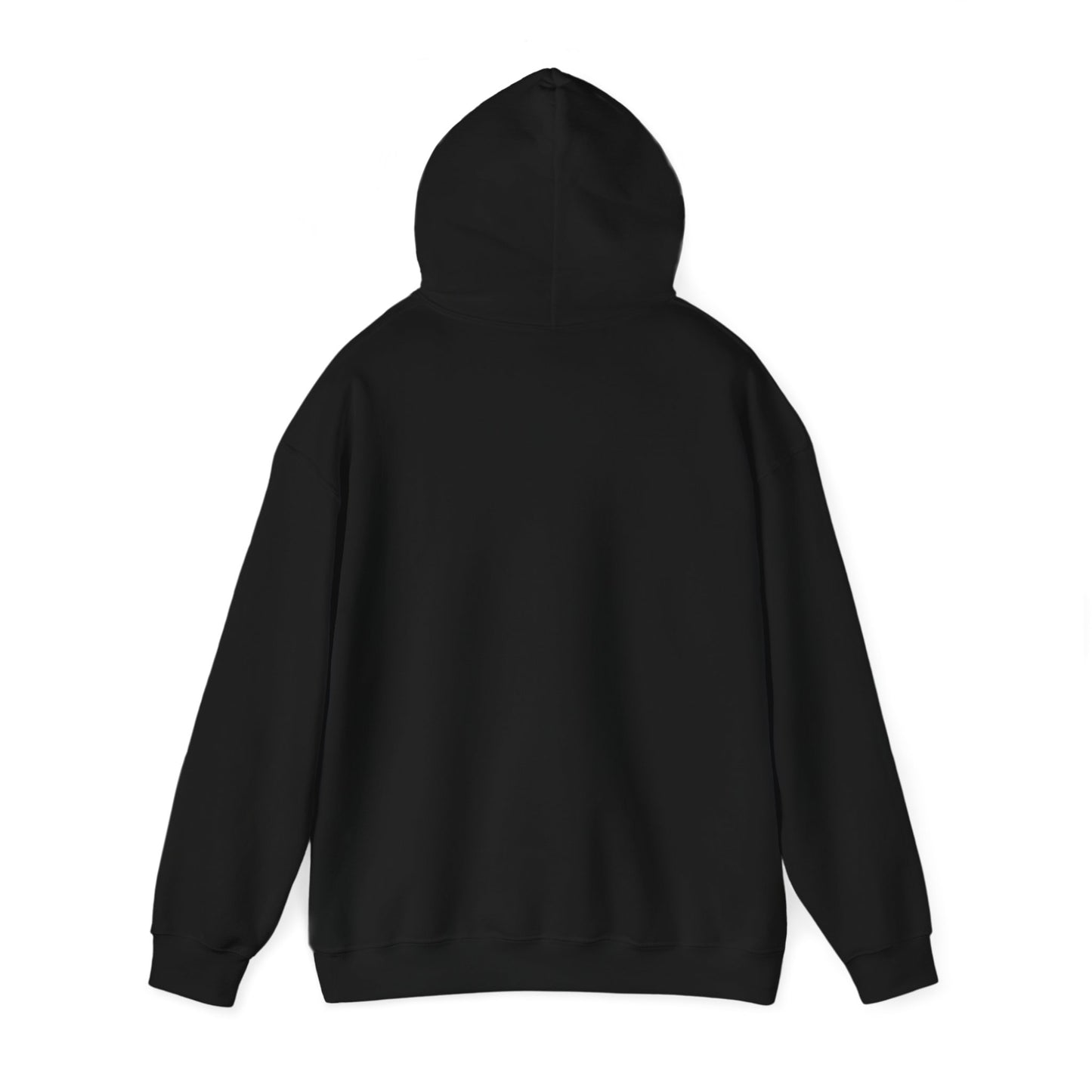 Christian Unisex Hoodie - Jesus Has My Back Design - Black