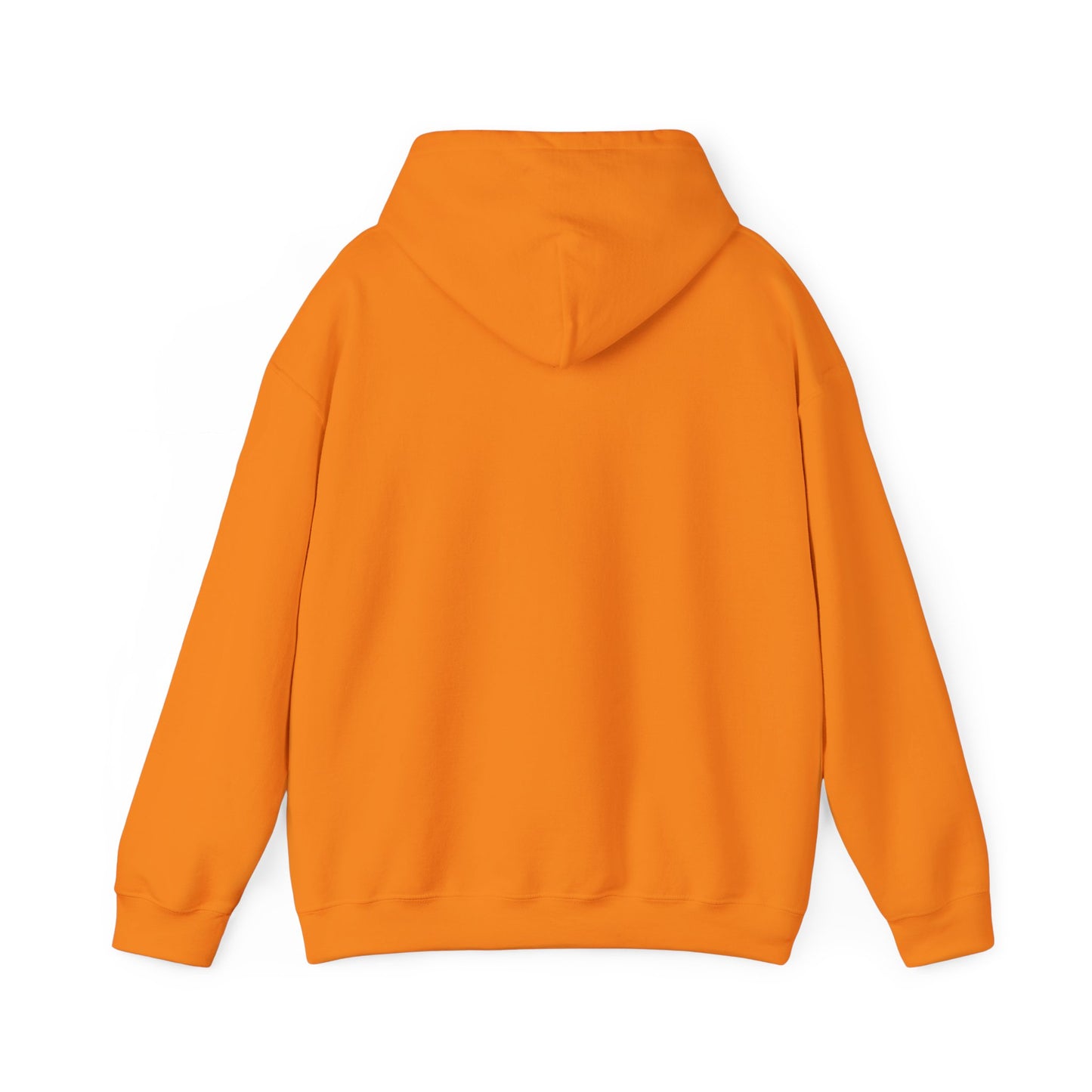 Jesus Vibes Only Hoodie