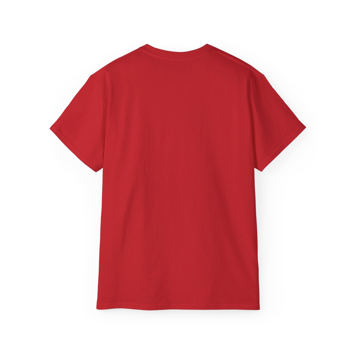 Christian T-Shirt- God Promises Never Fail