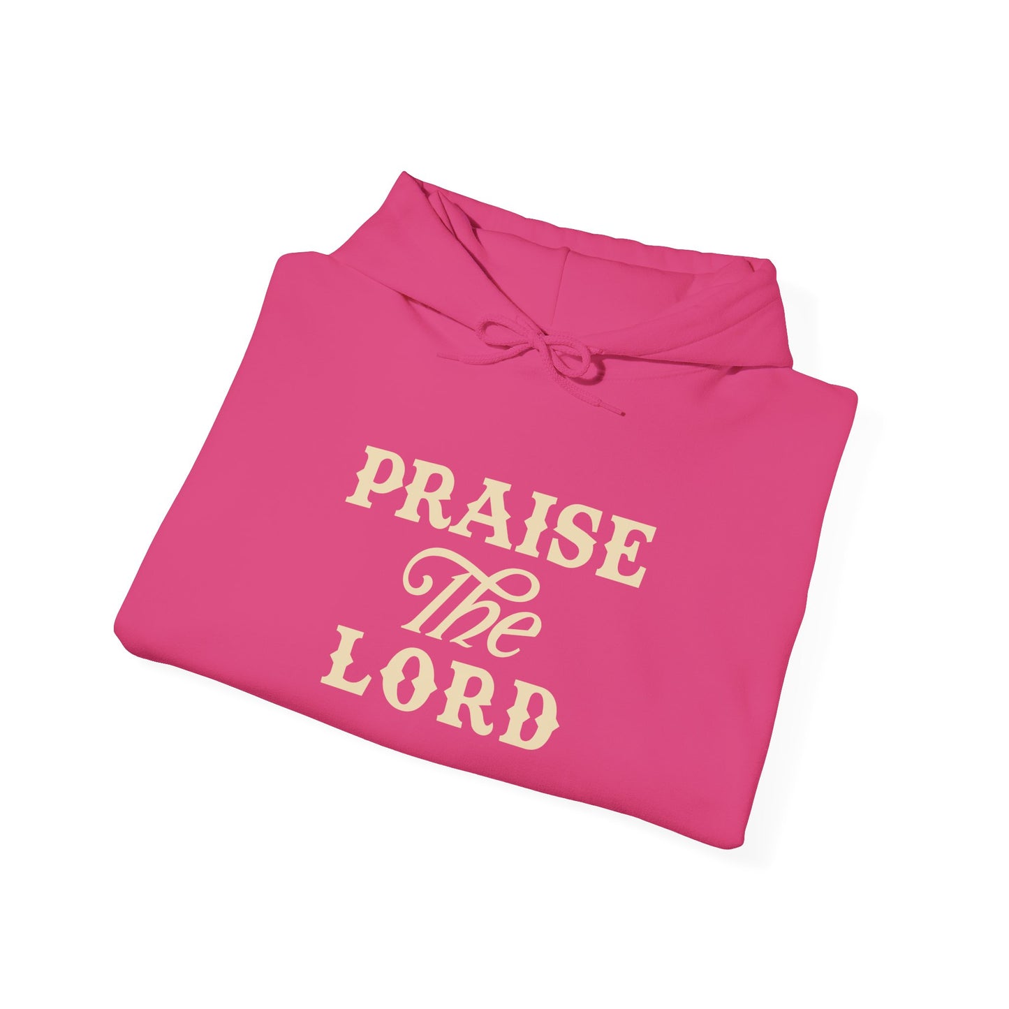 Praise the Lord Hooded Sweatshirt | Christian Apparel