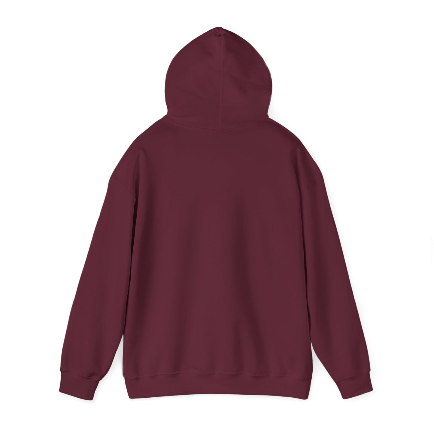 Jesus Vibes Only Hoodie
