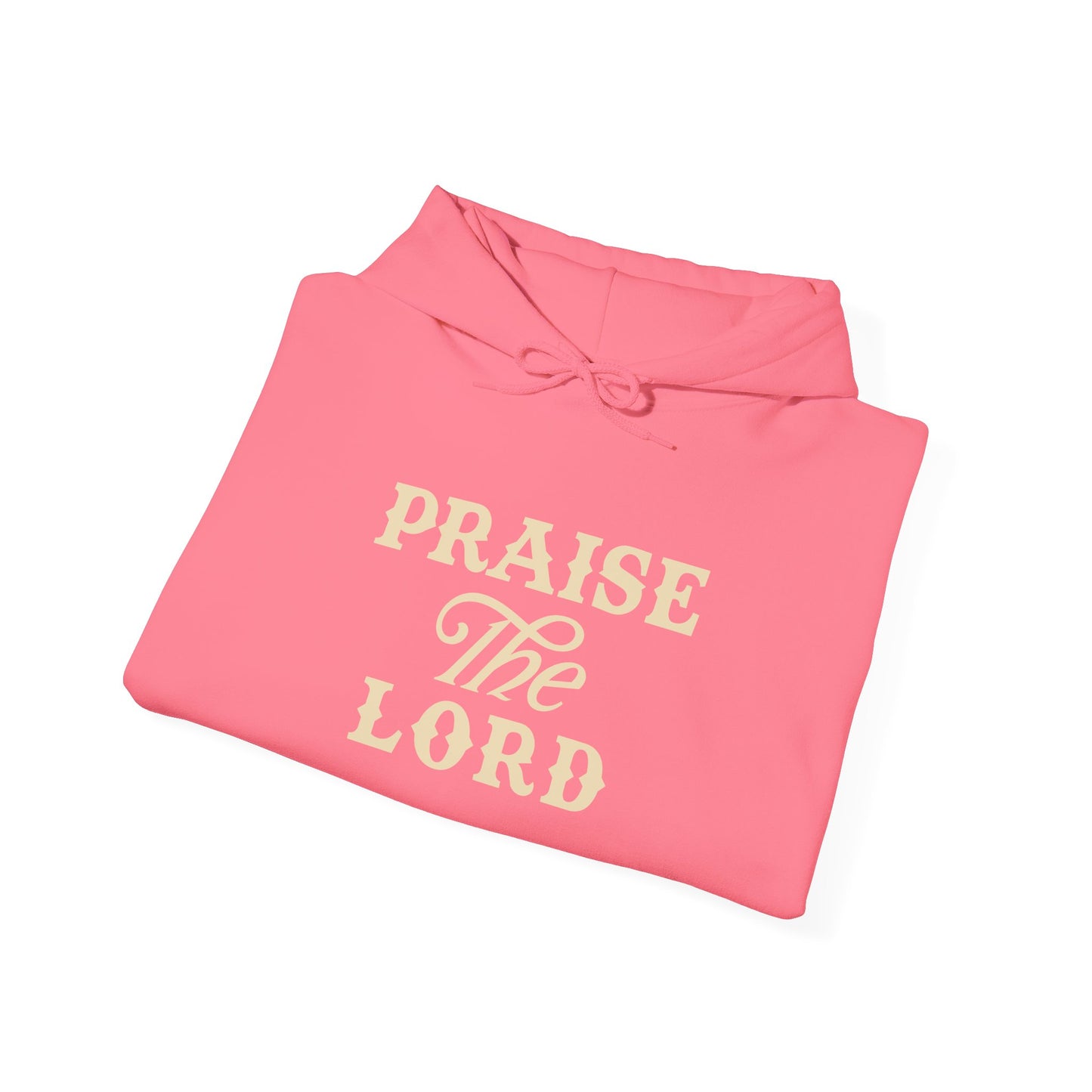 Praise the Lord Hooded Sweatshirt | Christian Apparel