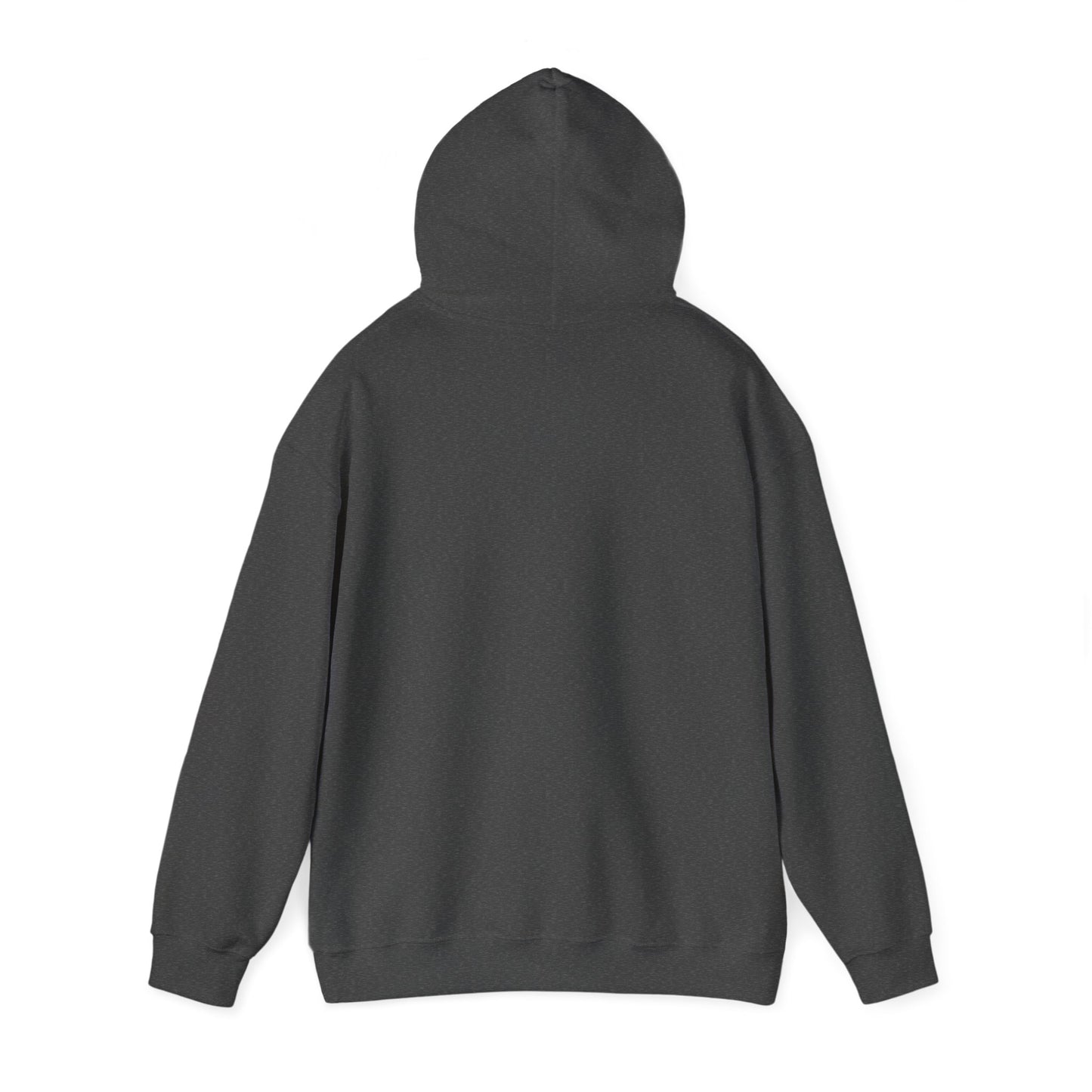 Christian Be Still And Know That I Am God Hoodie