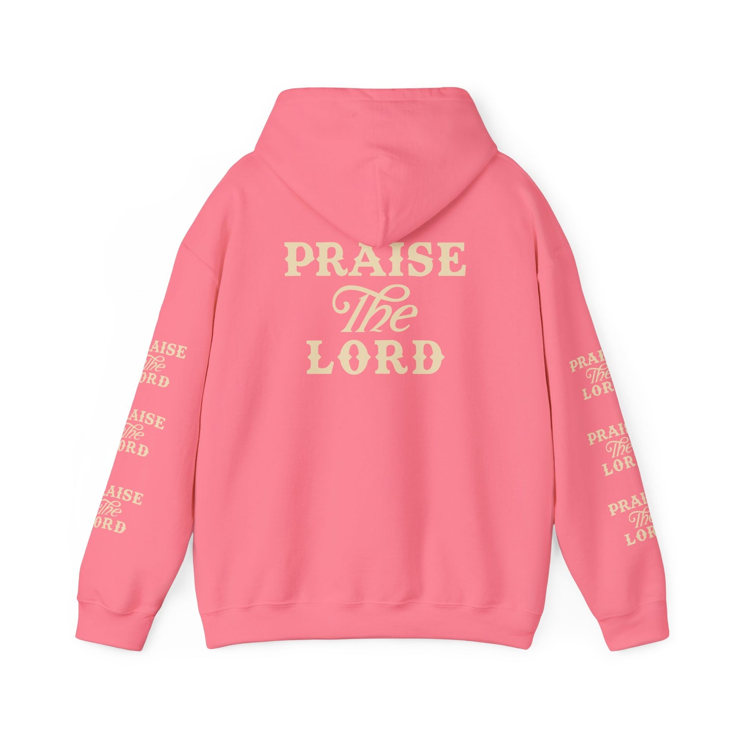 Praise the Lord Hooded Sweatshirt | Christian Apparel
