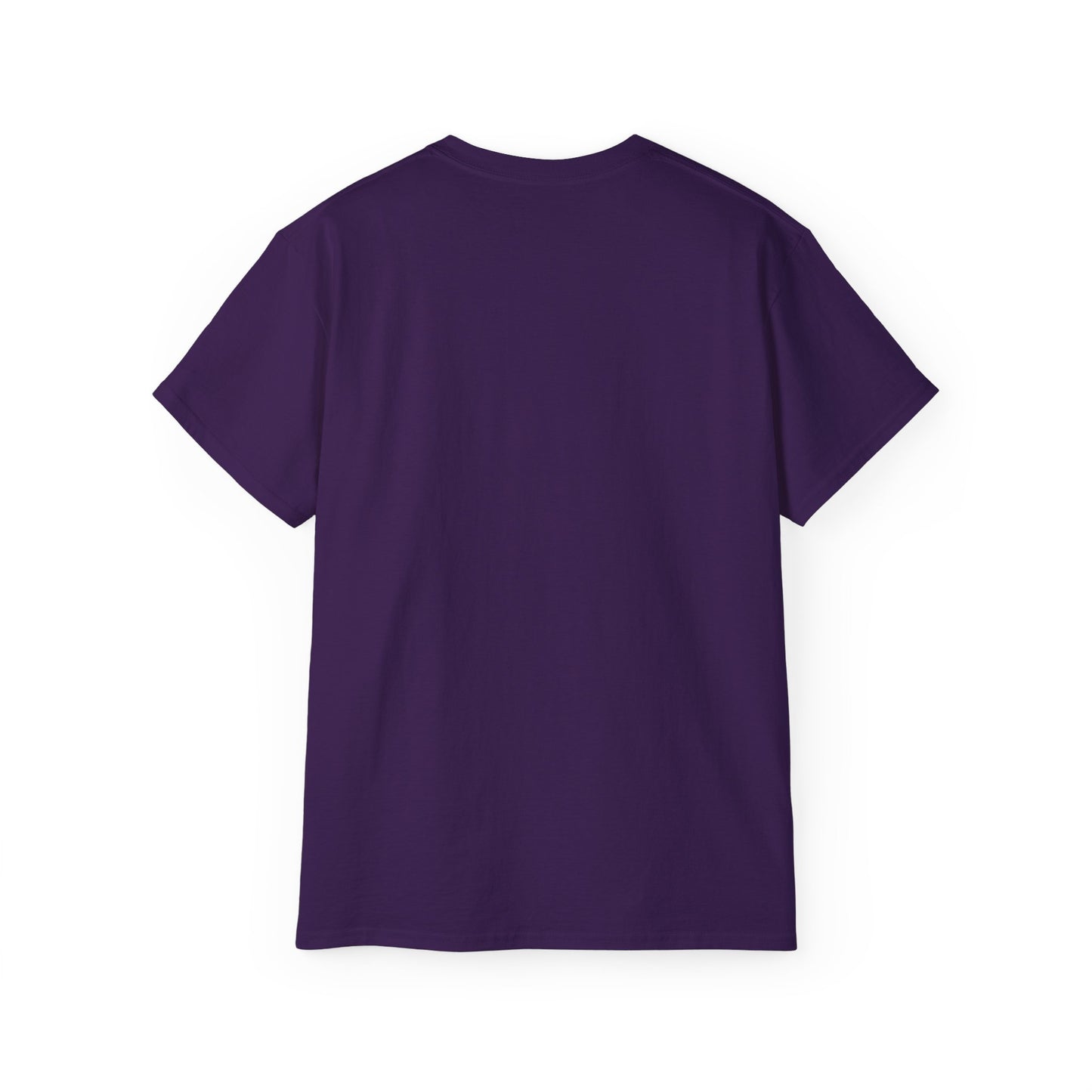 Christian T-Shirt- God Promises Never Fail