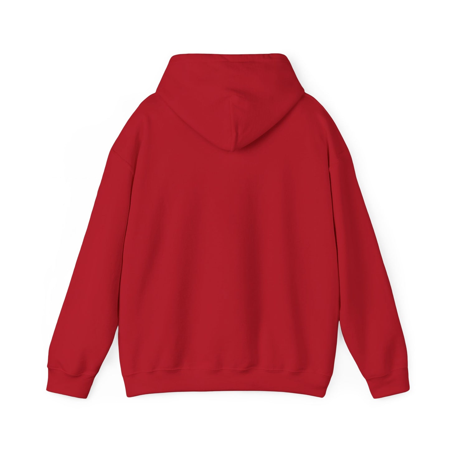 Jesus Vibes Only Hoodie