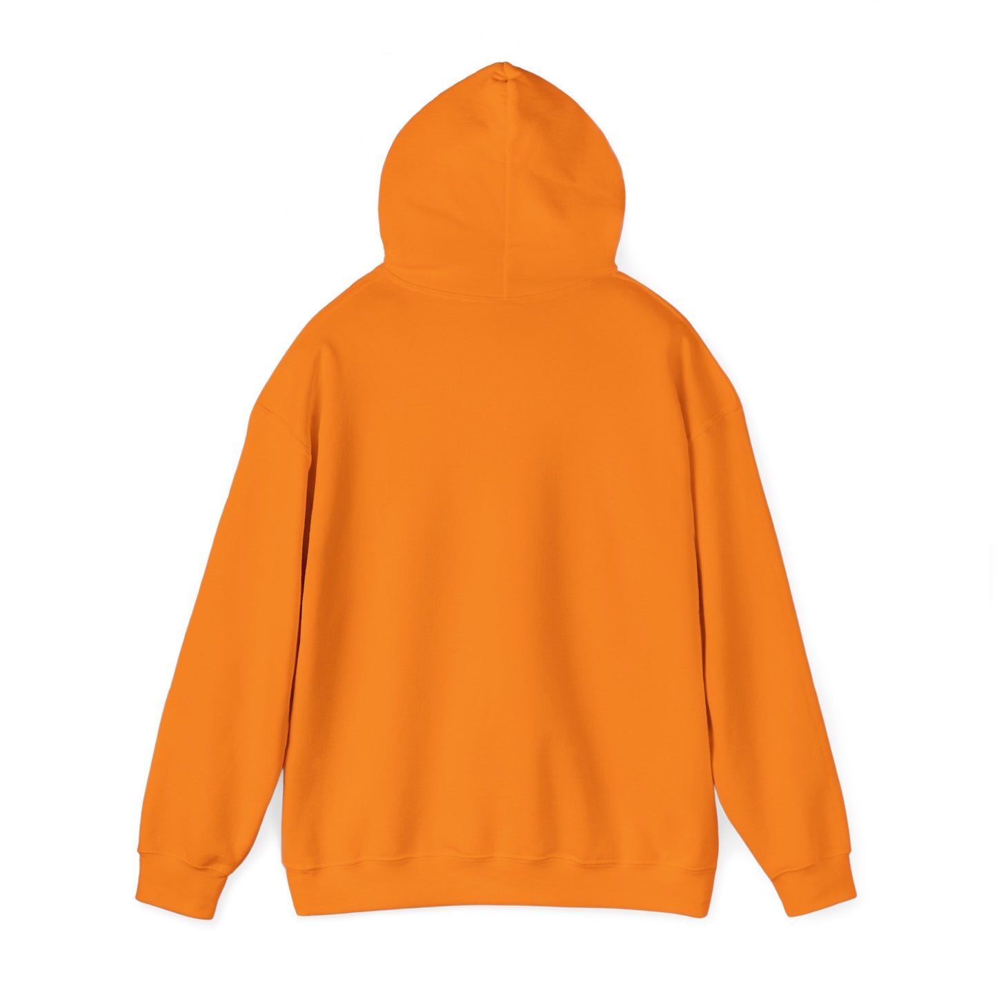 Jesus Vibes Only Hoodie