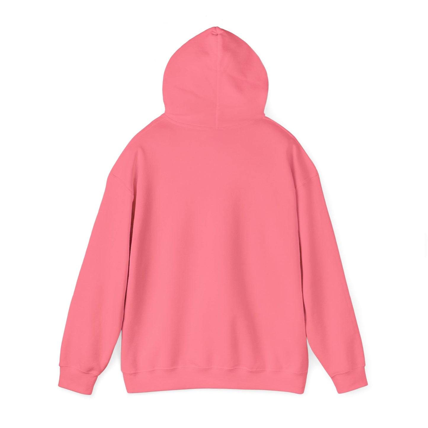 Jesus Vibes Only Hoodie