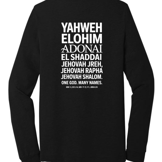 Solid Black Triblend - BACK